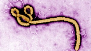 вірус Ебола