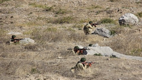 На таджицько-киргизькому кордоні сталася перестрілка через ведмедя, є жертви