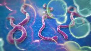 вірус ебола