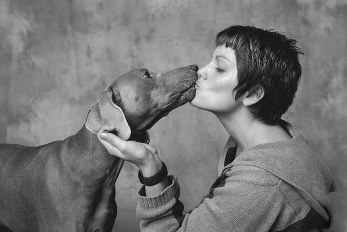 поцілунок з собакою