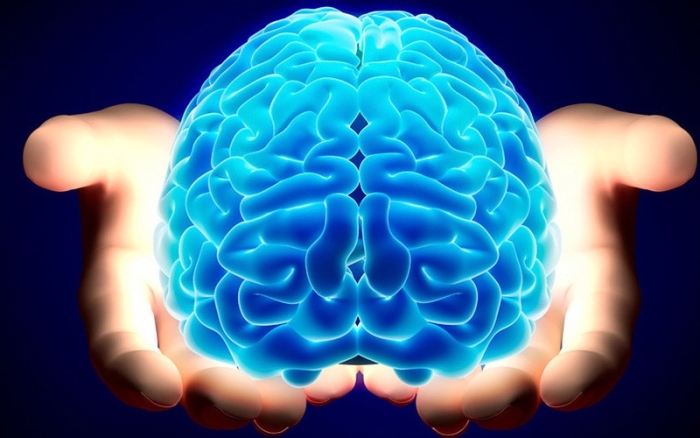 мозок людини