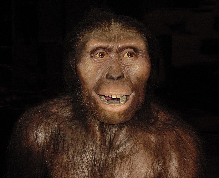 Australopithecus afarensіs
