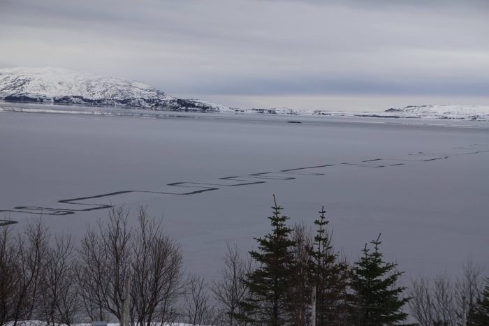 візерунки на озері в Ісландії