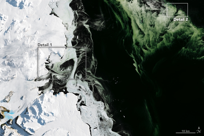 зелена антарктида