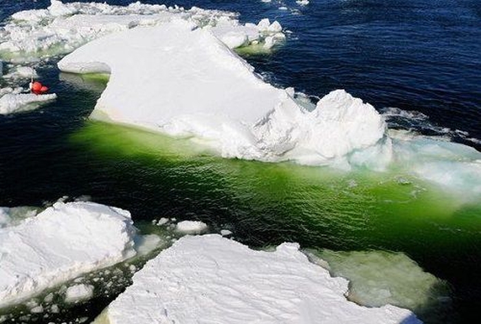 зелена вода арктика