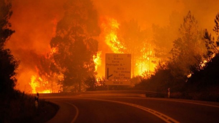 пожежі португалія