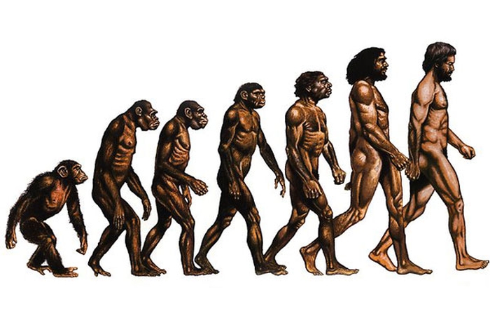 еволюція людини