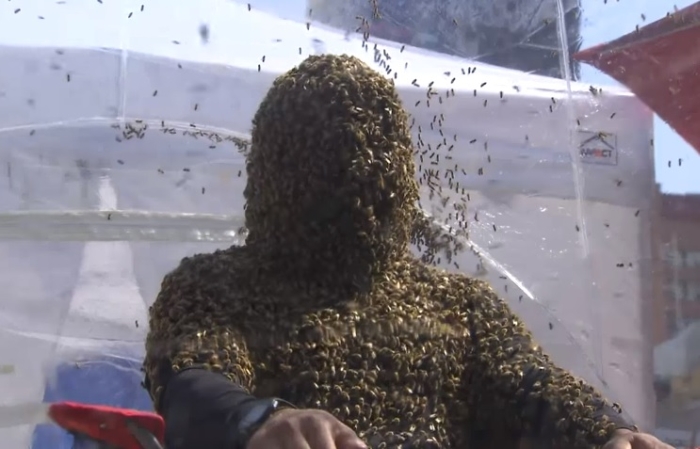 обліпив лице бджолами