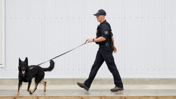 поліцейський собака канада