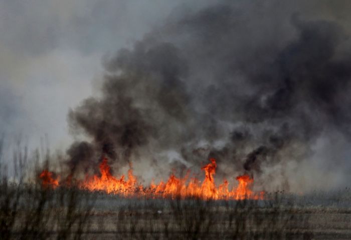 У Польщі горить найбільший національний парк: відео