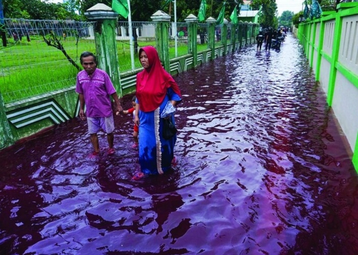 червоні ріки індонезія
