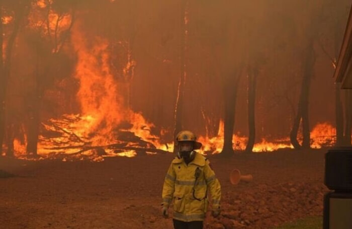 лісові пожежі австралія