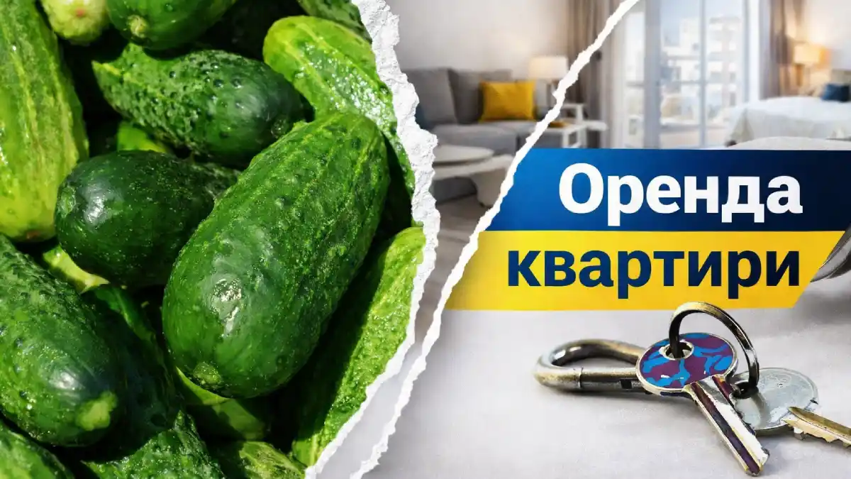 Тепличні огірки на ринку в Україні — ціни зросли на 54% за рік